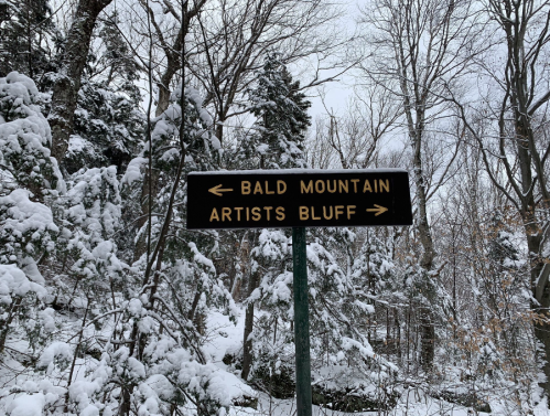 Signpost in a snowy forest indicating directions to Bald Mountain and Artists Bluff.