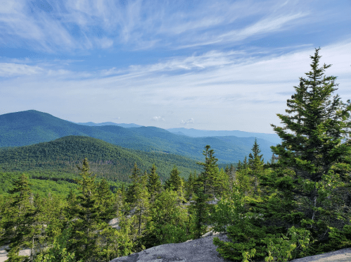 A scenic view of rolling green mountains under a blue sky, framed by evergreen trees in the foreground.