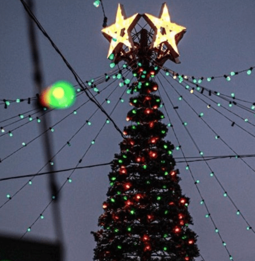 A decorated Christmas tree with star toppers and colorful lights against a twilight sky.
