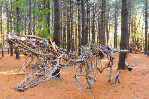 A sculpture made of branches resembling a dinosaur, set in a forest with tall trees and orange pine needles on the ground.