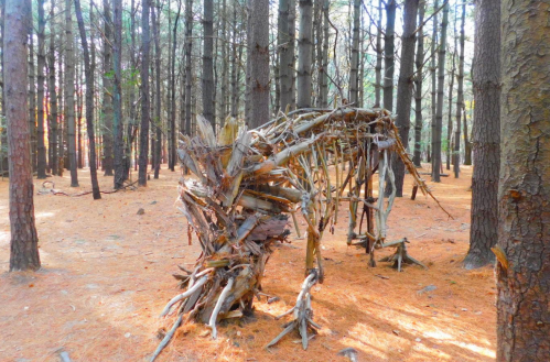 A wooden sculpture resembling a horse stands among tall trees in a forest covered with orange pine needles.
