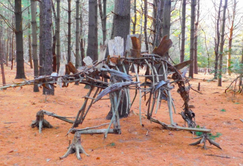 A skeletal structure made of branches and wood, resembling a dinosaur, set in a forest with pine needles on the ground.