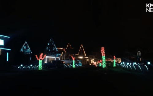 A house decorated with colorful holiday lights, featuring illuminated trees and festive designs against a dark night sky.