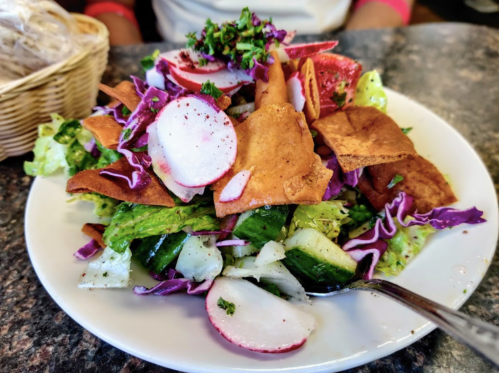 A colorful salad with lettuce, radishes, cabbage, and crispy tortilla strips on a white plate.