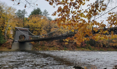 A suspension bridge spans a river, surrounded by autumn foliage in vibrant yellow and orange hues.