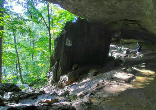 A rocky cave opening surrounded by lush green trees and sunlight filtering through, with a person standing nearby.