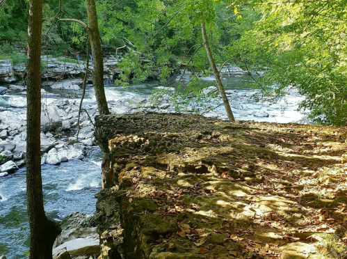 A rocky ledge overlooking a river, surrounded by lush green trees and sunlight filtering through the leaves.