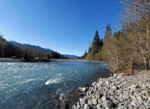 A clear blue river flows through a rocky shore, surrounded by trees and mountains under a bright blue sky.