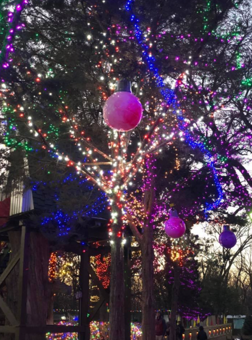Colorful holiday lights adorn trees, with large pink ornaments hanging among vibrant decorations in a festive setting.