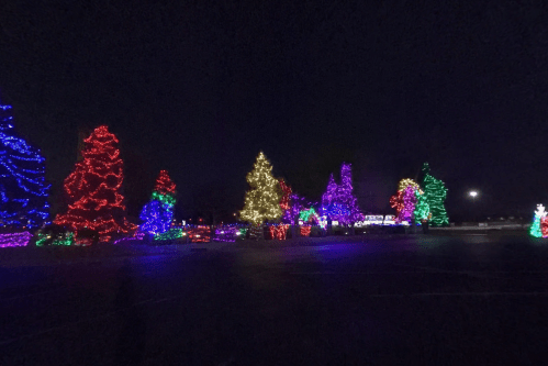 Colorful Christmas trees adorned with vibrant lights in a dark night setting.