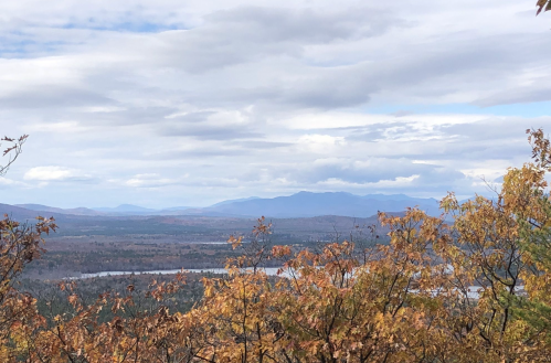 A scenic view of mountains and a river, framed by autumn foliage under a cloudy sky.