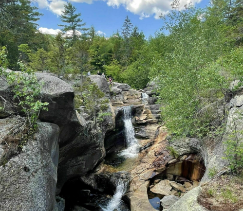 A serene landscape featuring a rocky stream with small waterfalls, surrounded by lush greenery and trees.