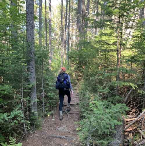 A person hiking on a wooded trail surrounded by tall trees and lush greenery.