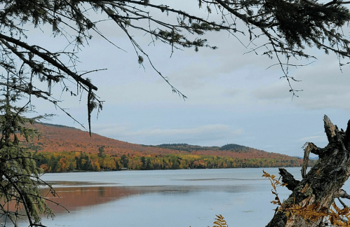 A serene lake surrounded by autumn foliage and distant mountains, framed by tree branches.