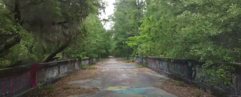 Overgrown, abandoned bridge surrounded by lush greenery and colorful graffiti on the pavement.