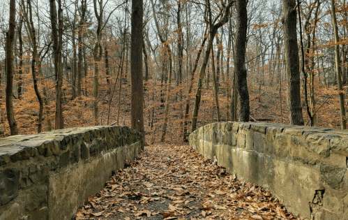 A stone bridge leads into a wooded area with bare trees and fallen leaves, creating a serene autumn scene.