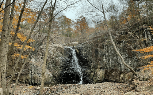 A small waterfall cascades over rocky terrain, surrounded by trees with autumn leaves.