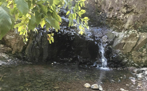 A small waterfall cascades over dark rocks into a serene pool, surrounded by green foliage.