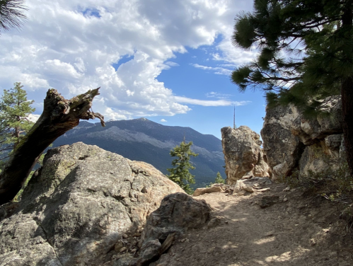 A rocky trail leads to a scenic view of mountains and clouds under a blue sky, framed by trees.