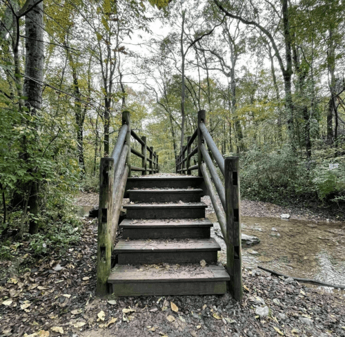 A wooden bridge leads over a stream, surrounded by trees and autumn foliage.
