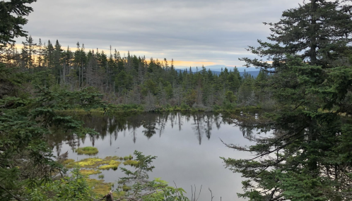 A serene pond surrounded by trees, reflecting the cloudy sky and distant mountains at sunset.