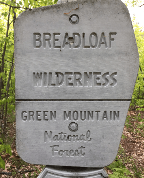 Signpost indicating "Breadloaf Wilderness" and "Green Mountain National Forest" in a wooded area.