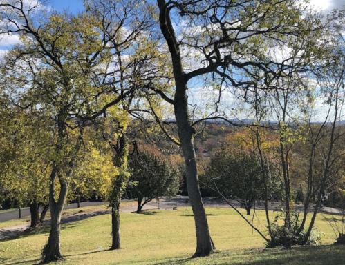 A scenic view of a park with tall trees and a grassy area under a blue sky with scattered clouds.