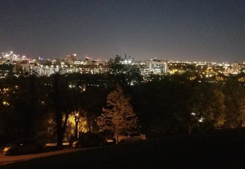 A nighttime cityscape view with illuminated buildings and trees in the foreground, showcasing a vibrant urban skyline.
