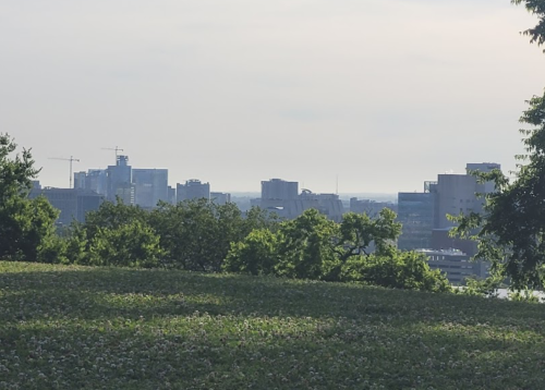A view of a city skyline in the distance, framed by green trees and a grassy foreground under a cloudy sky.