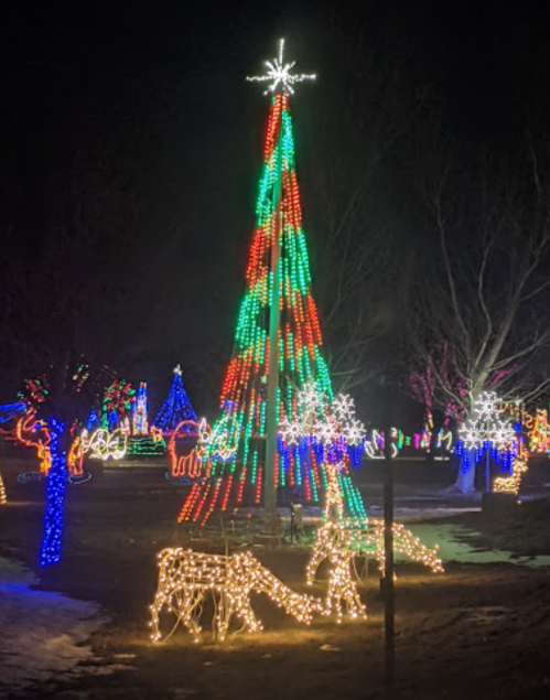 Colorful holiday lights illuminate a tall Christmas tree and reindeer figures in a festive nighttime display.