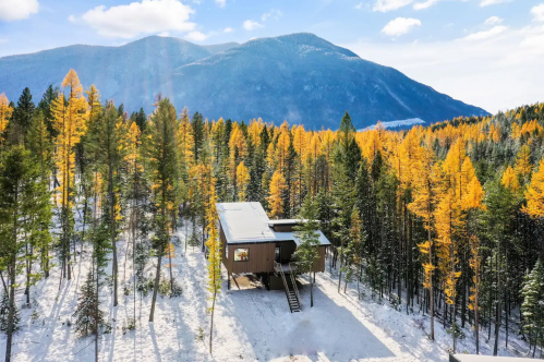 A modern cabin surrounded by tall trees with golden leaves and snow, set against a backdrop of mountains.