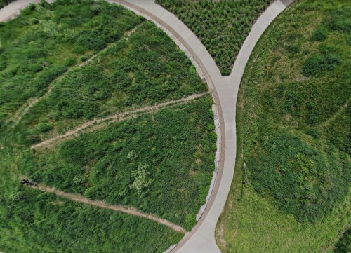 Aerial view of a park path splitting into two, surrounded by lush green grass and plants.