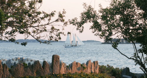 A sailboat glides across calm waters, framed by trees and rocky shoreline at sunset.