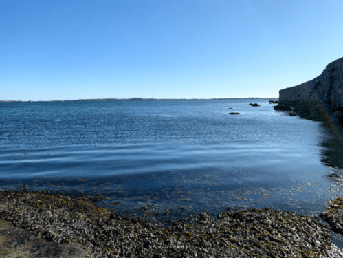 A calm sea with gentle waves, rocky shore, and clear blue sky in the background.