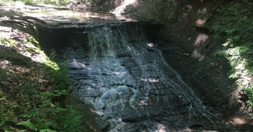 A small waterfall cascading over dark rocks, surrounded by lush greenery in a forested area.