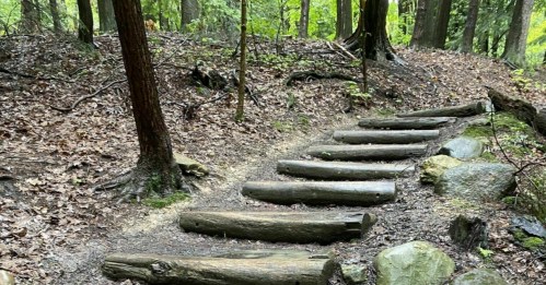 A forest path with wooden logs as steps, surrounded by trees and greenery.