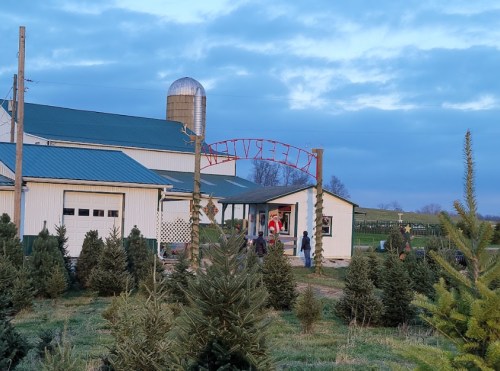 A farm entrance with a red sign reading "RESERVES" and evergreen trees in the foreground under a blue sky.