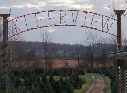 A sign reading "Kleerview" arches over a path lined with evergreen trees, leading to a gazebo in the distance.