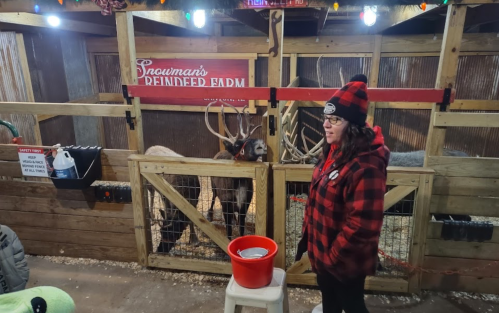 A person in a red plaid shirt stands near reindeer in a farm enclosure, with festive decorations in the background.