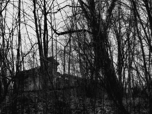 A dark, moody forest scene with bare trees and the silhouette of a crumbling structure in the background.