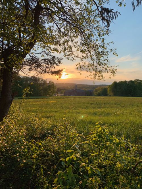 A serene landscape at sunset, featuring a grassy field framed by trees and a distant building under a colorful sky.