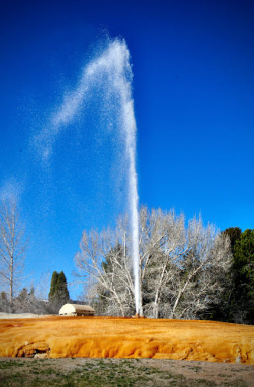 A geyser erupts, sending a plume of water into a clear blue sky, surrounded by trees and a golden landscape.