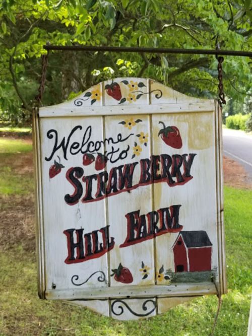 A wooden sign reading "Welcome to Strawberry Hill Farm," decorated with strawberries and a small red barn.