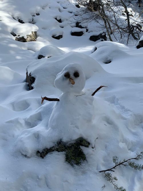 A snowman made of snow sits on a snowy landscape, with stick arms and a face made of small twigs.