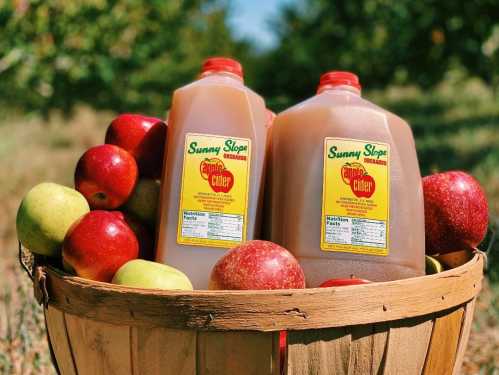 A wooden basket filled with red apples and two jugs of Sunny Slope apple cider in an orchard setting.