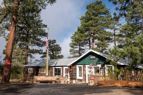 A rustic cabin surrounded by tall pine trees, featuring a flagpole and wooden logs in front.