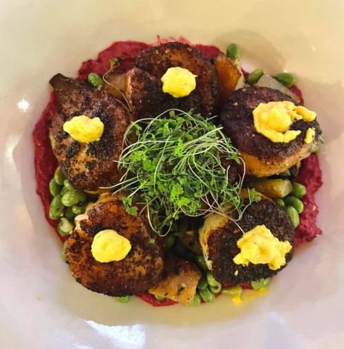A plate of seared scallops on a bed of vibrant beet puree, garnished with microgreens and dollops of yellow sauce.