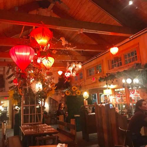 Cozy restaurant interior with wooden decor, red lanterns, and warm lighting, featuring plants and a welcoming atmosphere.