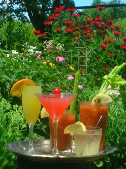 A tray of colorful cocktails in a lush garden filled with vibrant flowers.