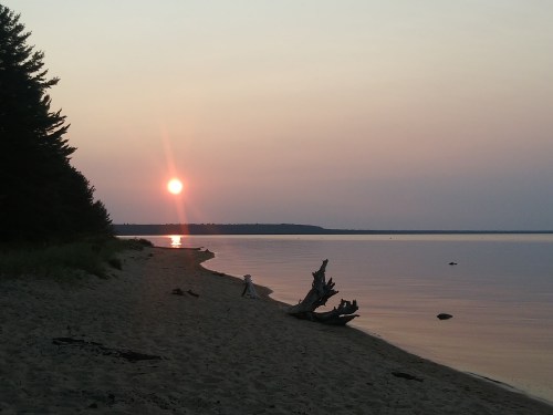 A serene beach at sunset, with a calm lake reflecting the sun and silhouettes of trees in the background.